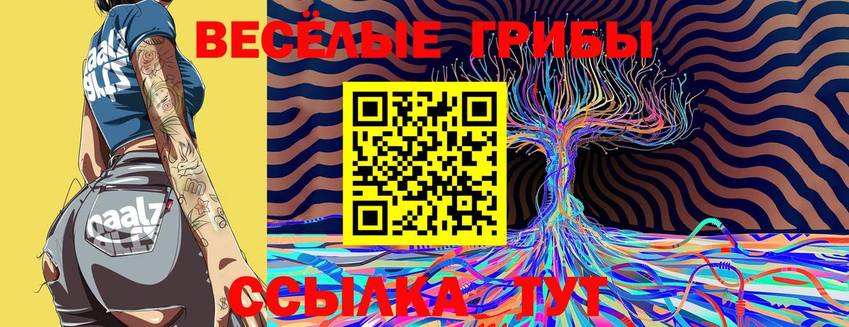 Псилоцибиновые грибы MAGIC MUSHROOMS Соль-Илецк