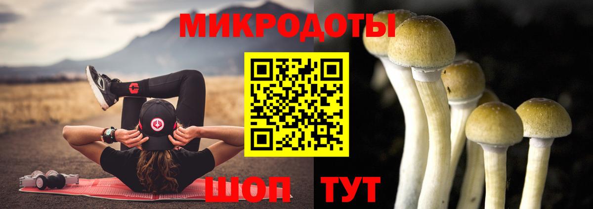 купить наркотик  Псилоцибиновые грибы Psilocybe  Вход с VPN  Соль-Илецк 